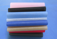 张家港涤纶（PET）无纺布是什么