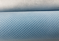 张家港(PP)丙纶无纺布跟(PET)涤纶无纺布的区别